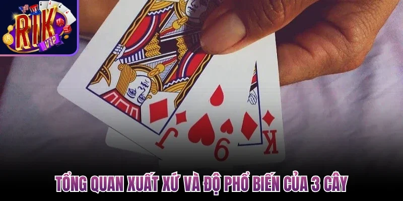 Cách Chơi 3 Cây Cơ Bản - Luật Chơi Và Cách Tính Điểm 2 Tổng quan xuất xứ và độ phổ biến của 3 cây