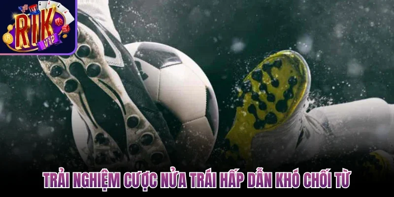 Trải nghiệm cược nửa trái hấp dẫn khó chối từ